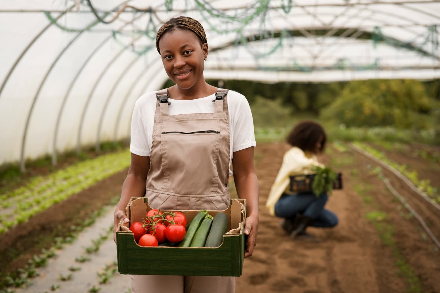 Productrice avec panier de légumes en serre — Dakenayop Ferme